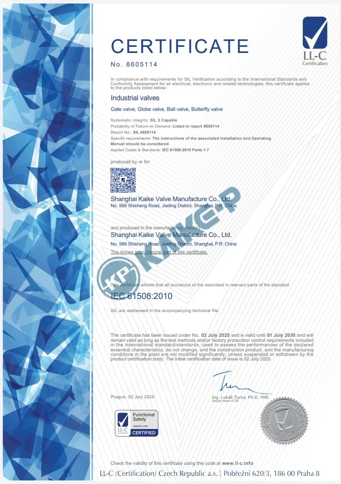 Регистрационные документы Kaike